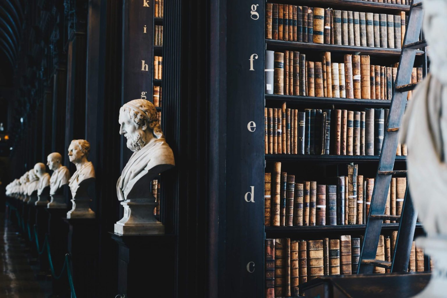 biblioteka